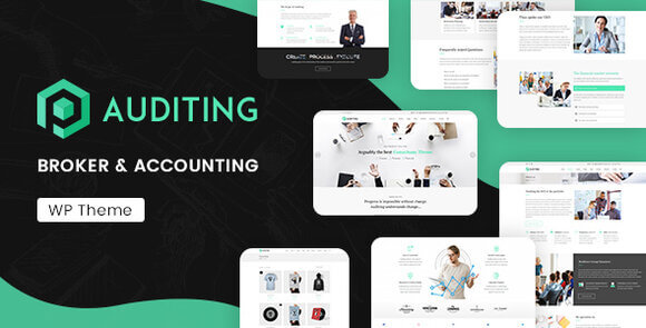 Auditing v3.6 – Accounting Consultant, Finance WordPress Theme