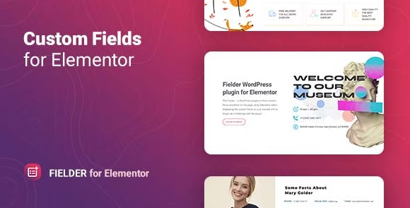 Fielder v1.0 – WordPress Custom Fields for Elementor Add-on