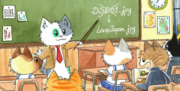 Media File Renamer Pro v5.5.7 Nulled – WordPress Plugin