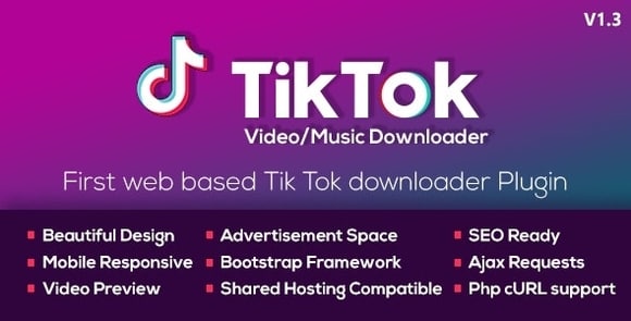 TikTok Video and Music Downloader with no Watermark v1.3 Nulled Script