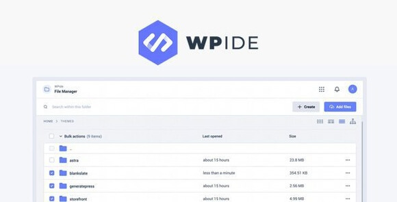 WPIDE v3.5.2 – File Manager and Code Editor for WordPress