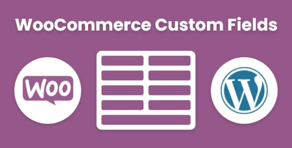 WeasyFields v1.0 – WooCommerce Custom Fields for Products Plugin